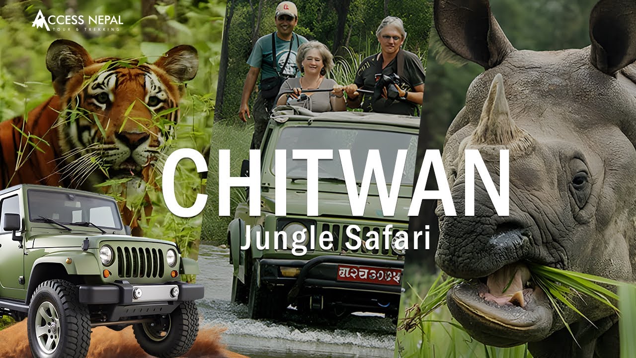 Chitwan Jungle Safari | Chitwan National Park
