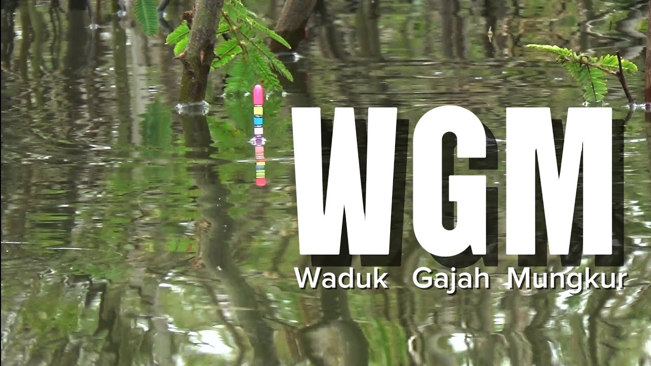 WGM Terbaru‼️IKAN MAKAN DISAAT BADAI DATANG #fishing #mancing #mancingmania #nila 