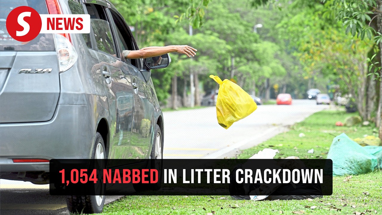 1,054 nabbed for littering to date, says Nga