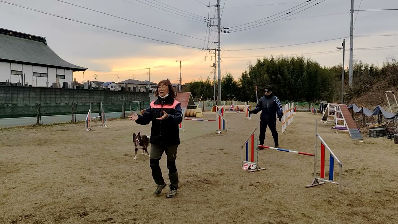 2026年2月10日