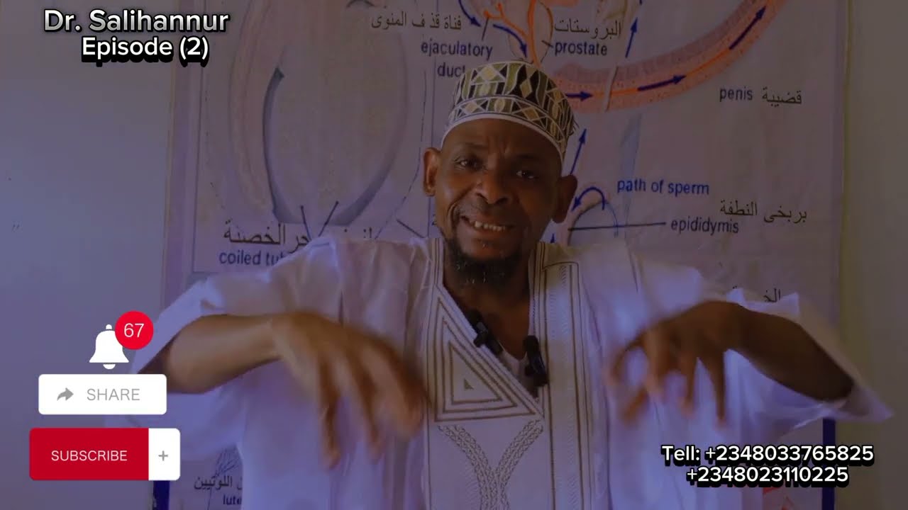 Dr. Salihannur) Matsalolin Ciwon Koda #kidney #stone #video  (#Episoide 2) Daga Dr. Salihannur
