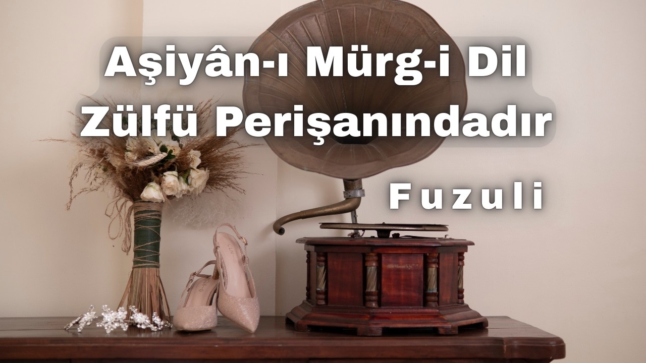 Aşiyan-ı Mürg-i Dil Zülfü Perişanındadır | Fuzulî | Ezgi Su, Türk Sanat Müziği