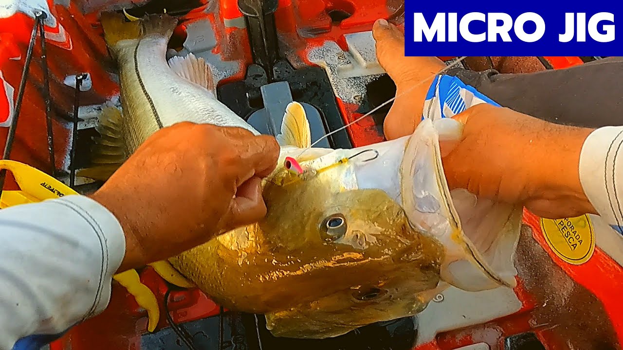 PESCARIA COM MICRO JIG USANDO SONAR | Temporada de Pesca
