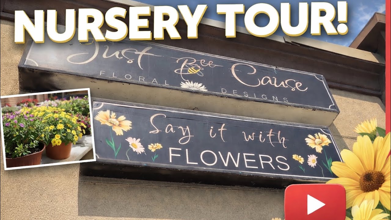 A Peaceful Nursery Tour 🌿 | Just Bee Cause Garden Center #nurserytour 