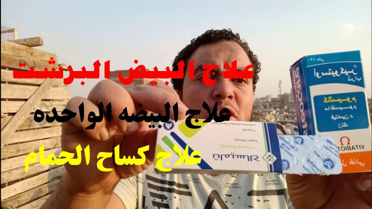 أقوى كالسيوم للحمام 3 * 1 نقص البيض علاج تأخير البيض وعلاج البيض البرشت