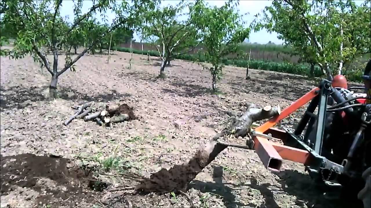 Cavaceppi artigianale