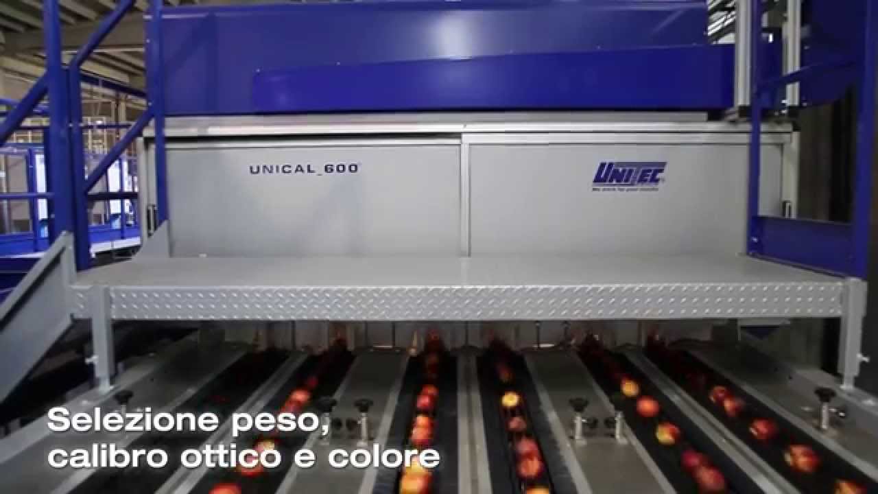 Linea di precalibratura per Pesche Nettarine - UNICAL 600 - Unitec