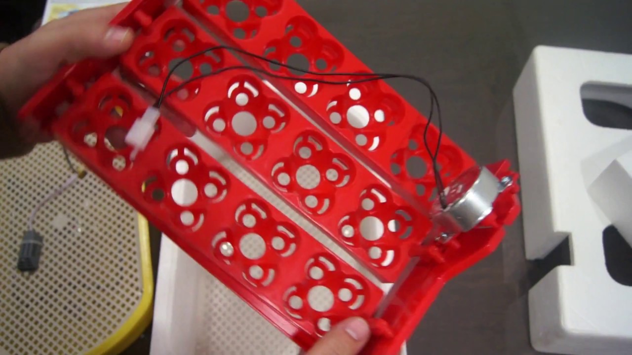 Automatic breeding machine 12 - 48 egg incubator - unboxing
