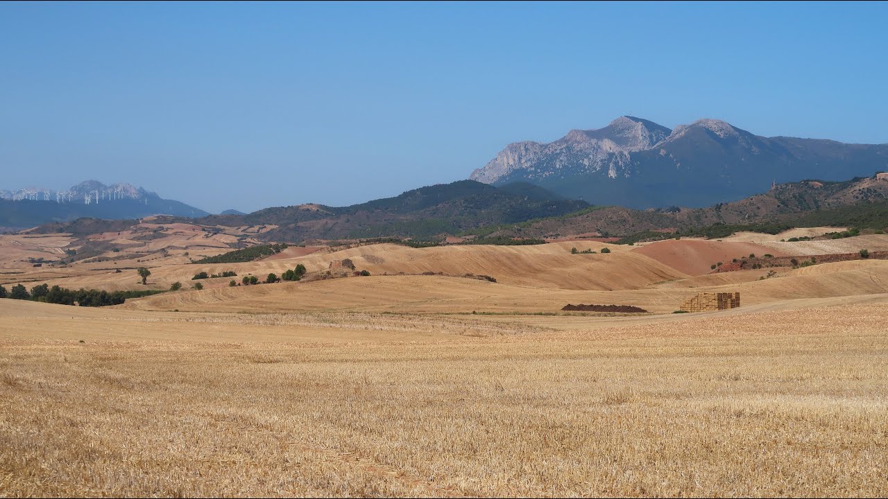 Camino Frances 2021: Etapa 6, Estella to Los Arcos