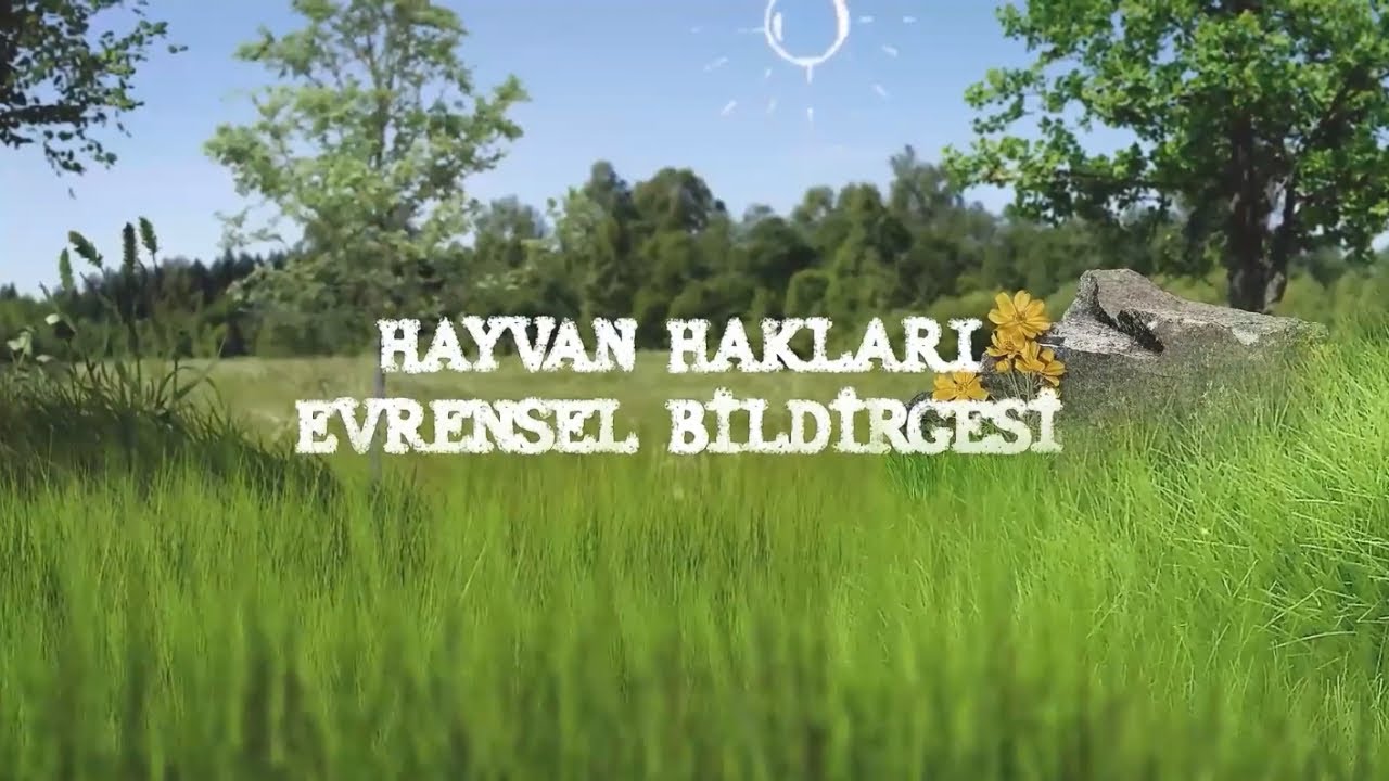 Hazır Foto - Video ile Eğitim / Hayvan Hakları Evrensel Bildirgesi