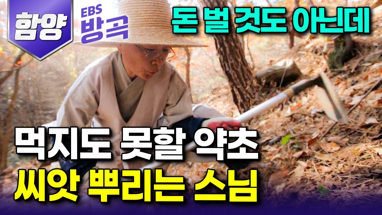 [경남 함양] 버려진 화전민 터에 자리 잡고 자신은 먹지도 못할 약초, 다음 사람 편히 살라며 농사짓는 스님｜황석산 암자 월동준비｜#한국기행 #방방곡곡