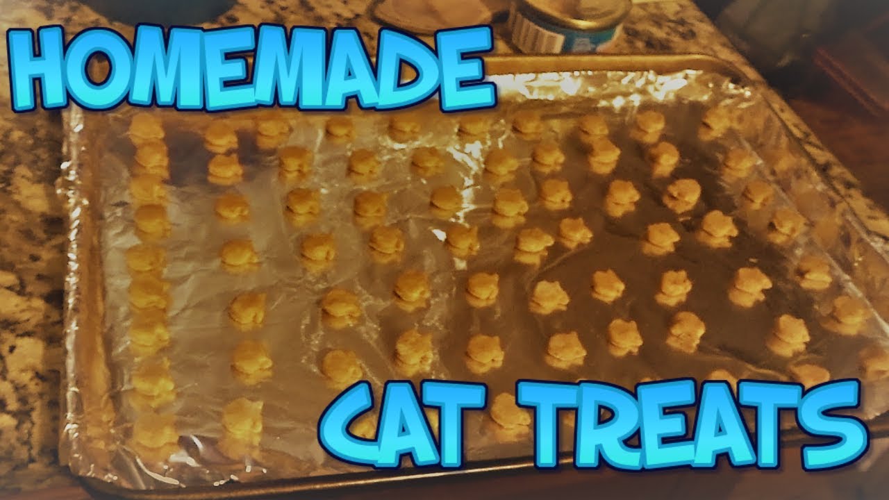 WE TRIED MAKING HOMEMADE CAT TREATS!!!