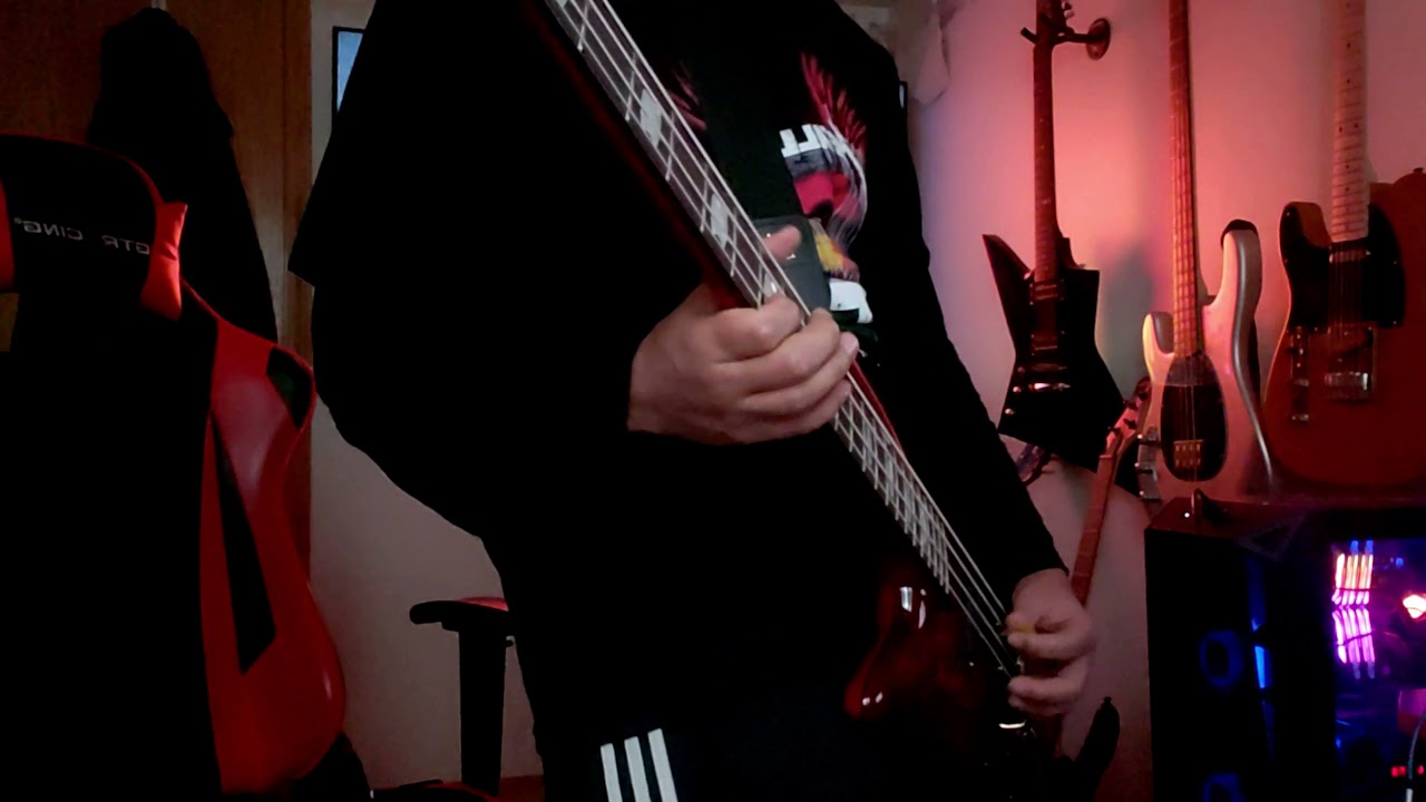 Alice in Chains - Rotten Apple (Bass Cover)