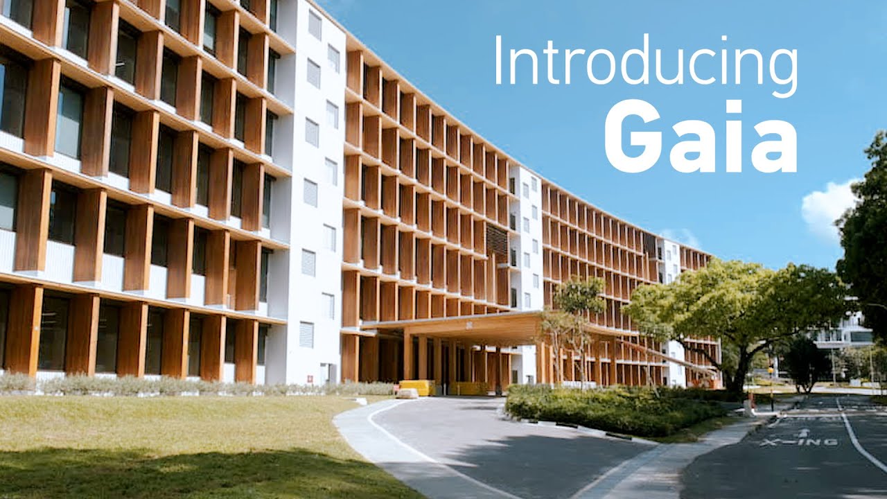 Introducing Gaia, the largest wooden building in Asia