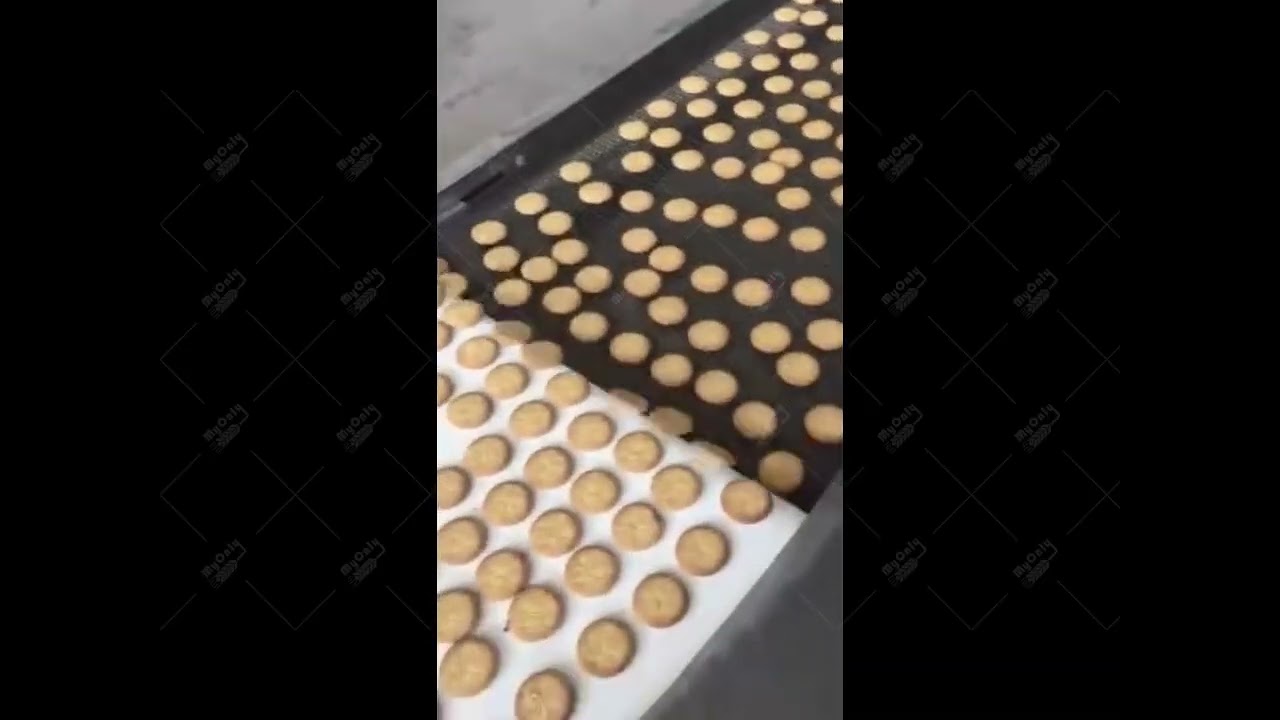 Factory price wire cut cookie make production line offer -- My Only Machine Co,.ltd