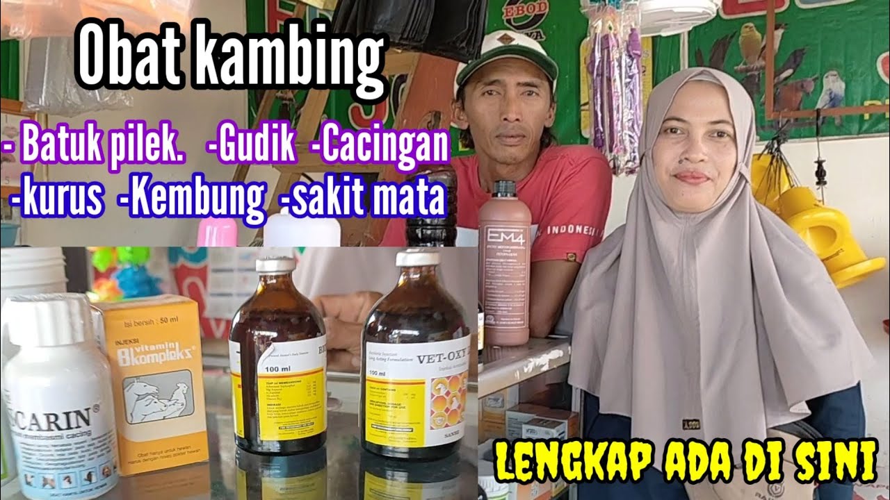 OBAT KAMBING BATUK PILEK DAN GUDIK GATAL