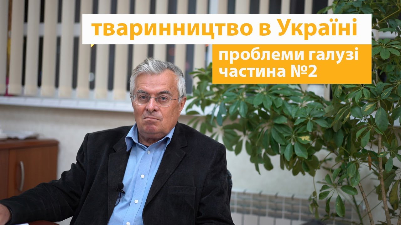От домашнего хозяйства к успешной ферме.