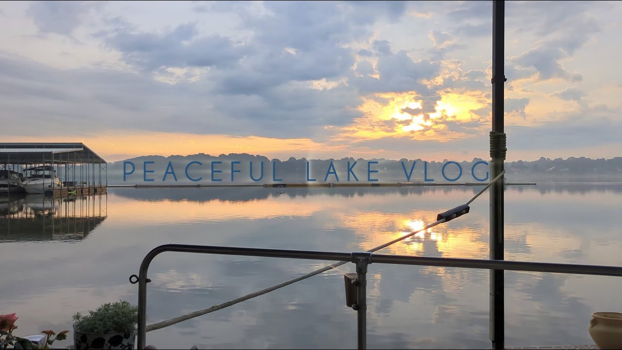 Enjoying Slow Summer on my Boat | Quiet living vlog | Turtles, Geese, Ducks🦆