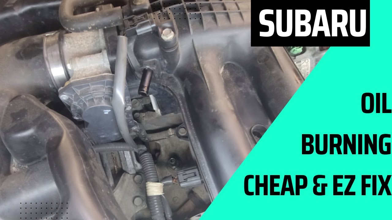 Замена PCV на двигателе Subaru Outback 2.5 в режиме реального времени
