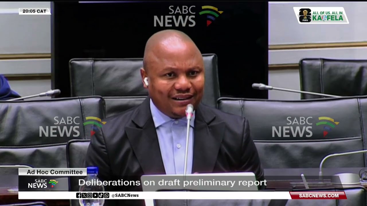 Ad Hoc Committee | Deliberations on draft preliminary report