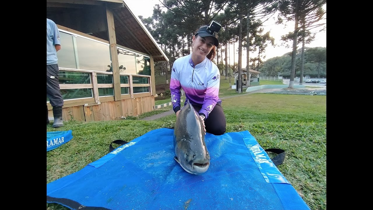 MUITAS CACHARAS, PACUS E TAMBAS NO TORETTO PESCA ESPORTIVA