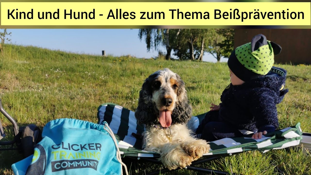 Beißprävention Hund und Kind: Das kannst du tun, damit es zu keinem Beißvorfall mit dem Kind kommt?