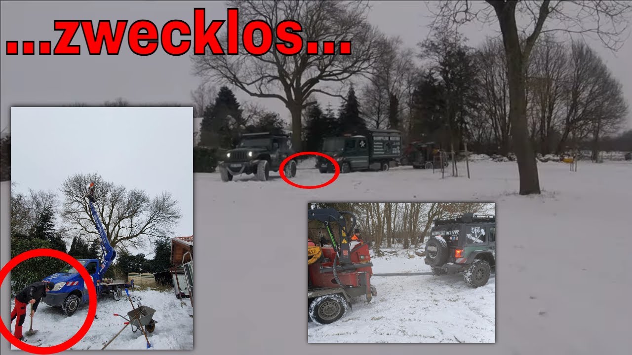 Zwecklos | Baumpflege Mertens