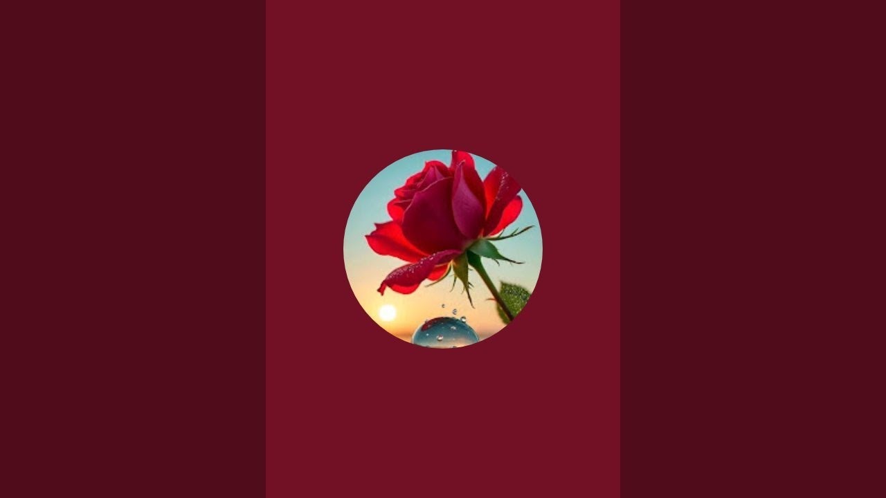 Faseela k is live