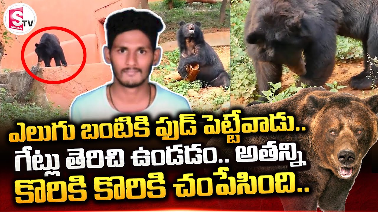 ఎలుగు బంటితో స్నేహంగా..  | Vizag Zoo Park | Indira Gandhi Zoological Park || @sumantvtirupati