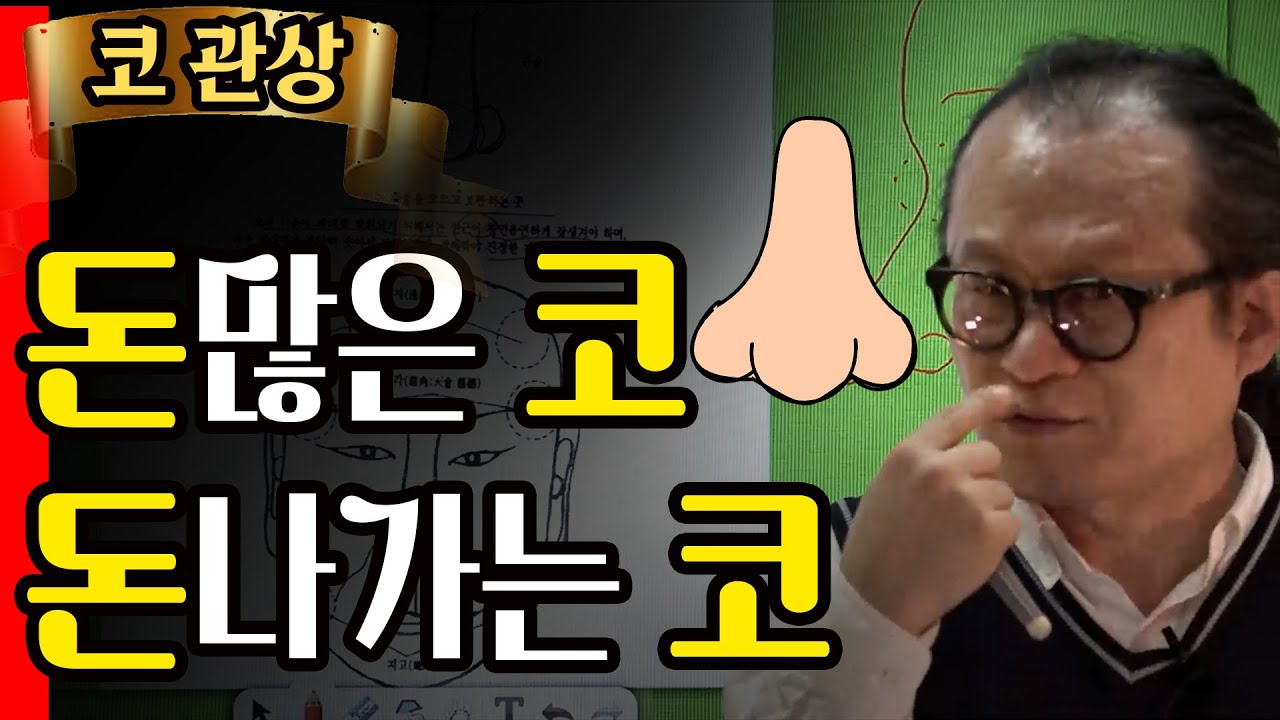 코 관상으로 보는 재물복 '코는 돈복이다 ?'