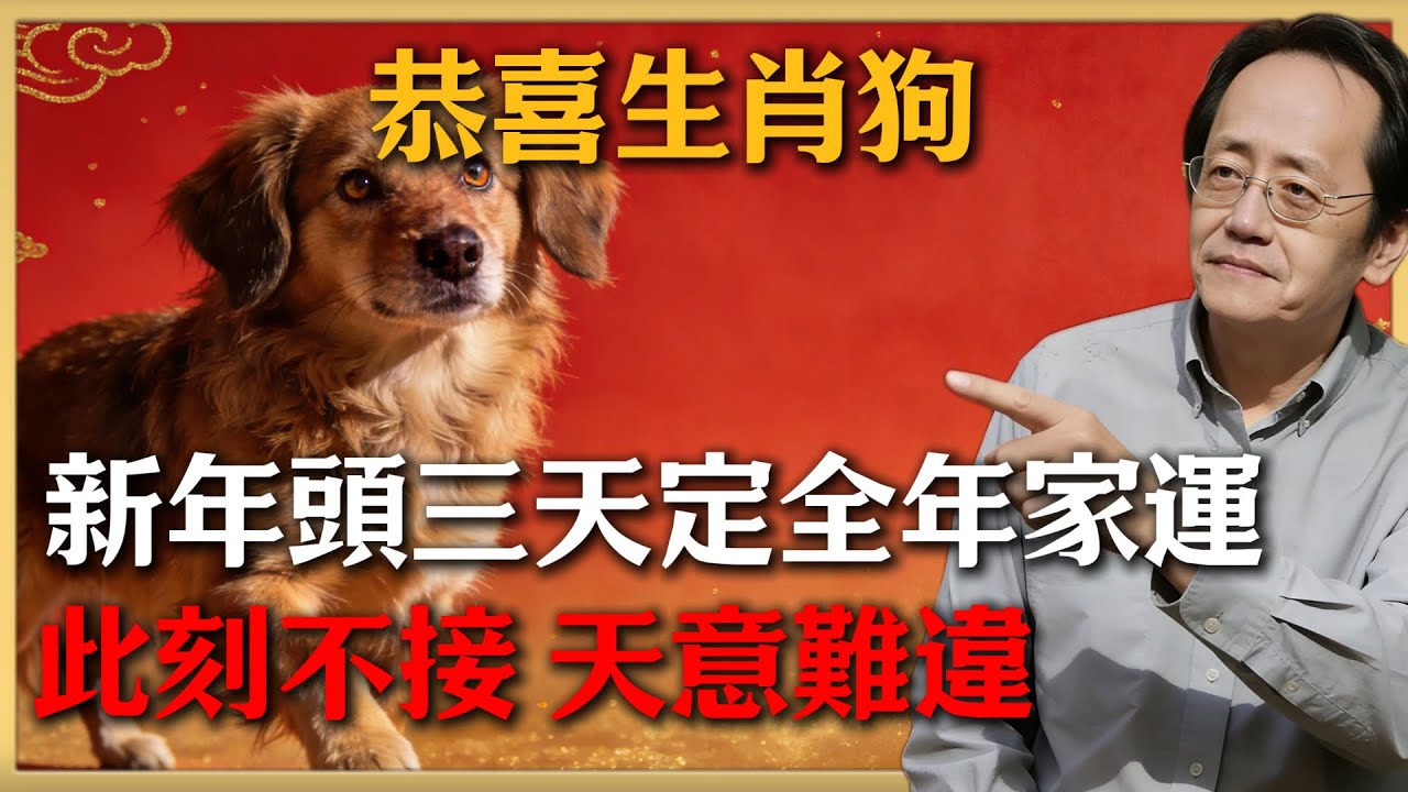 恭喜屬狗！新年驚天動地的家運提升，錯過這波，2026悔不當初！新年指南，轉運就在此！#倪海廈 #命理 #生肖 #運勢