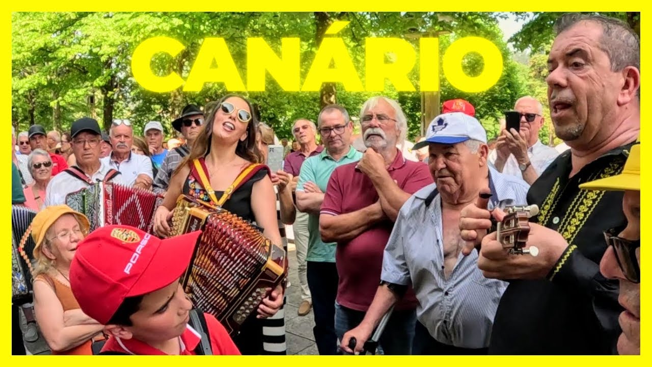 🇵🇹🪗  Festa, Sol e Calor: Canário Veio à Roda