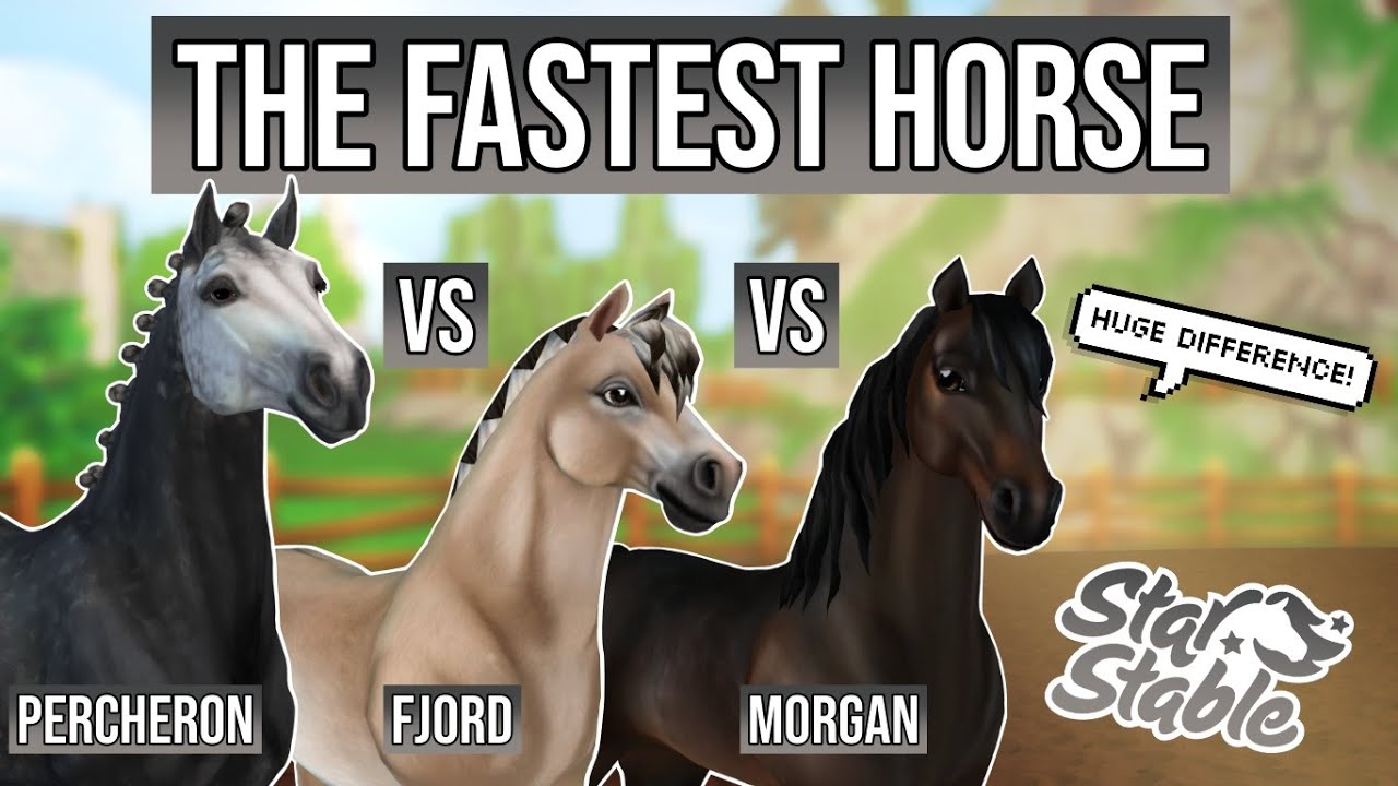 Proof! The fastest horse in Star Stable - HUGE Difference (Percheron vs Fjord vs Morgan)