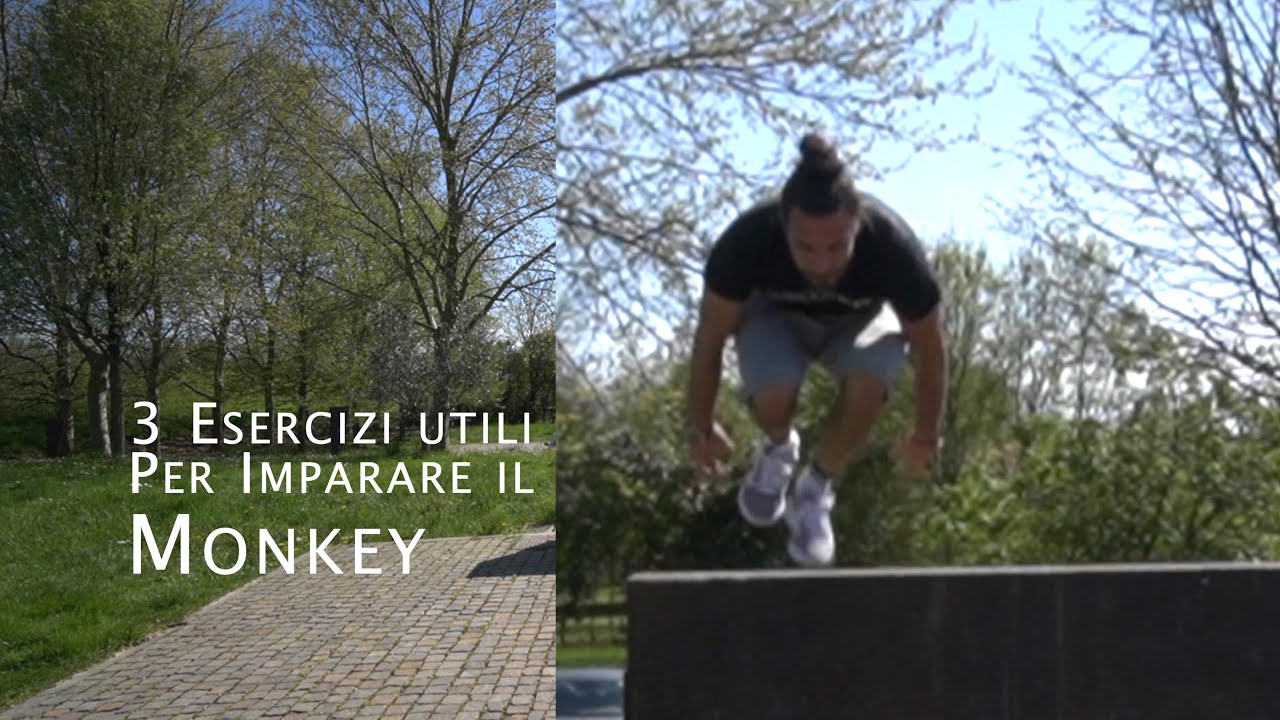 3 ESERCIZI UTILI PER: MONKEY [PARKOUR TUTORIAL]