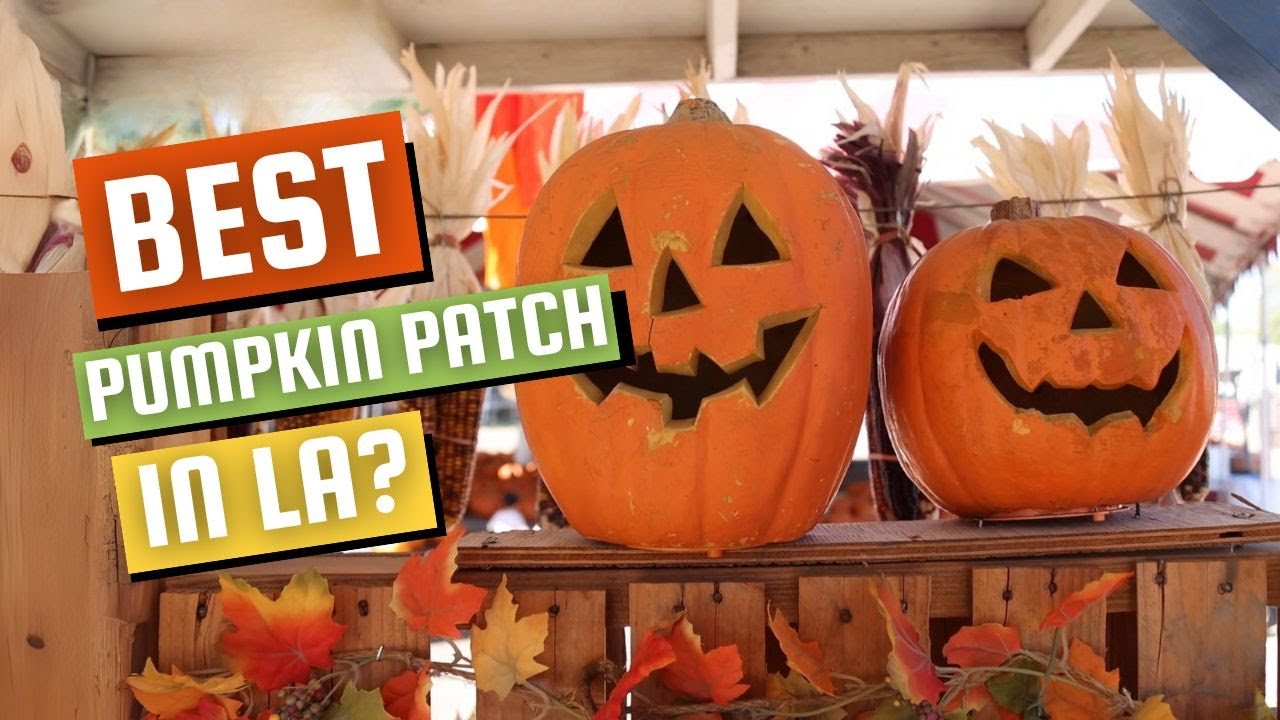 🎃 Lost in the Corn Maze at the Best Pumpkin Patch in LA?! 🚨 Tapia Bros Farm Maze Madness in Encino