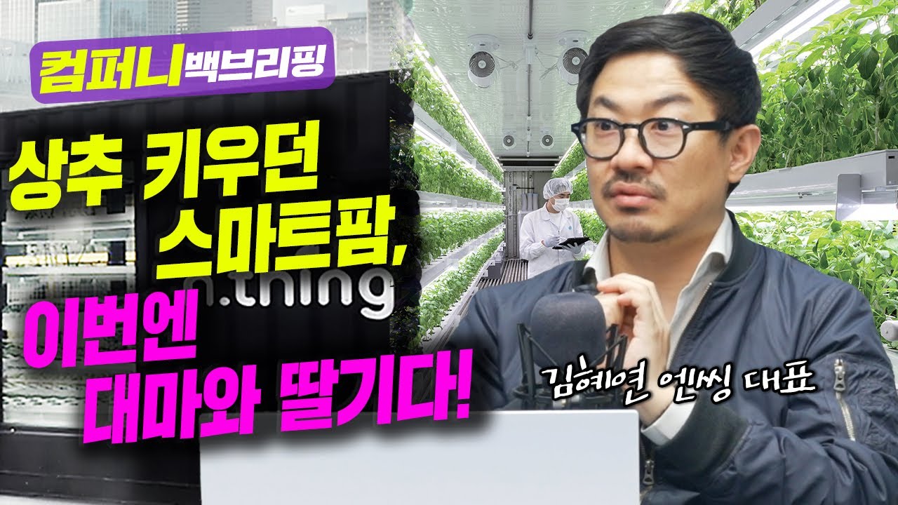 상추 키우던 스마트팜, 이번엔 대마와 딸기다! f. 엔씽 김혜연 대표_22.04.20_[컴퍼니 백브리핑]