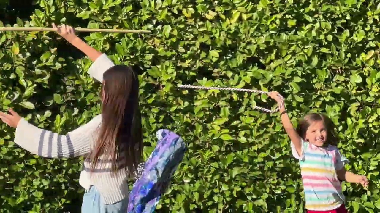 Testing the Spotted seal windsock