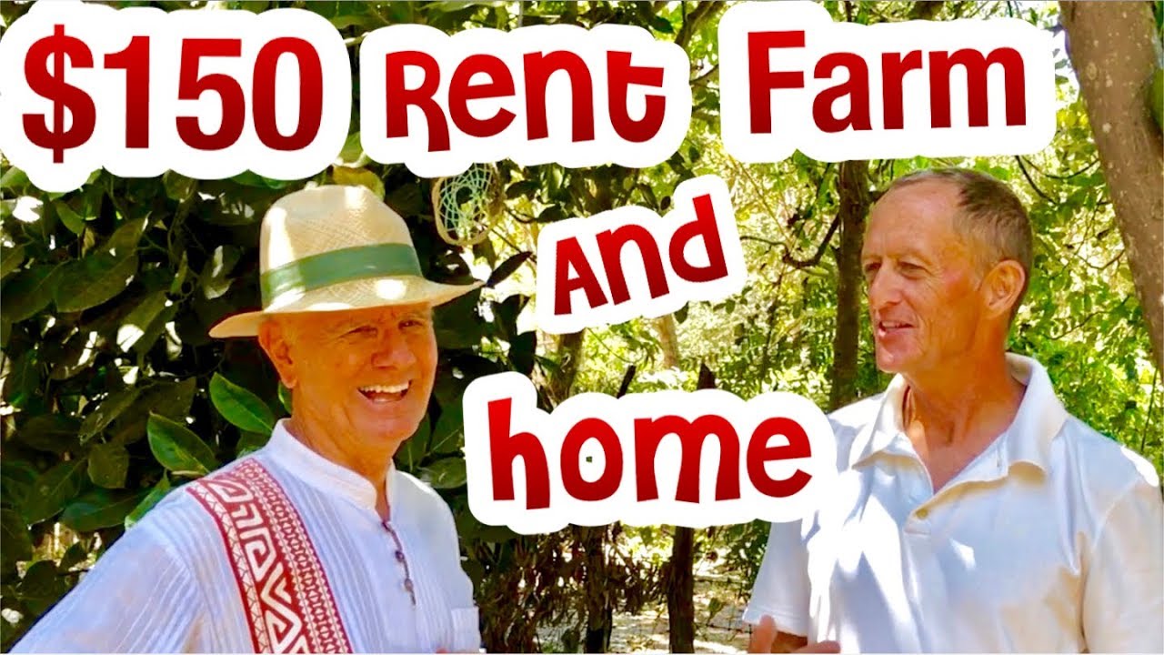 Part 2:  $150 Small  Tiny Home & Farm Mexico:  Lo de Marcos, Puerto Vallarta, Sayulita, San Pancho,