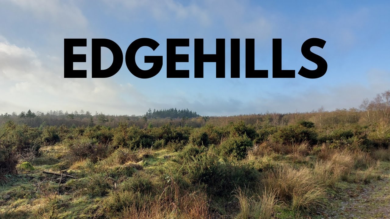 Slow walking Edgehills Nature Reserve: no talking, just nature