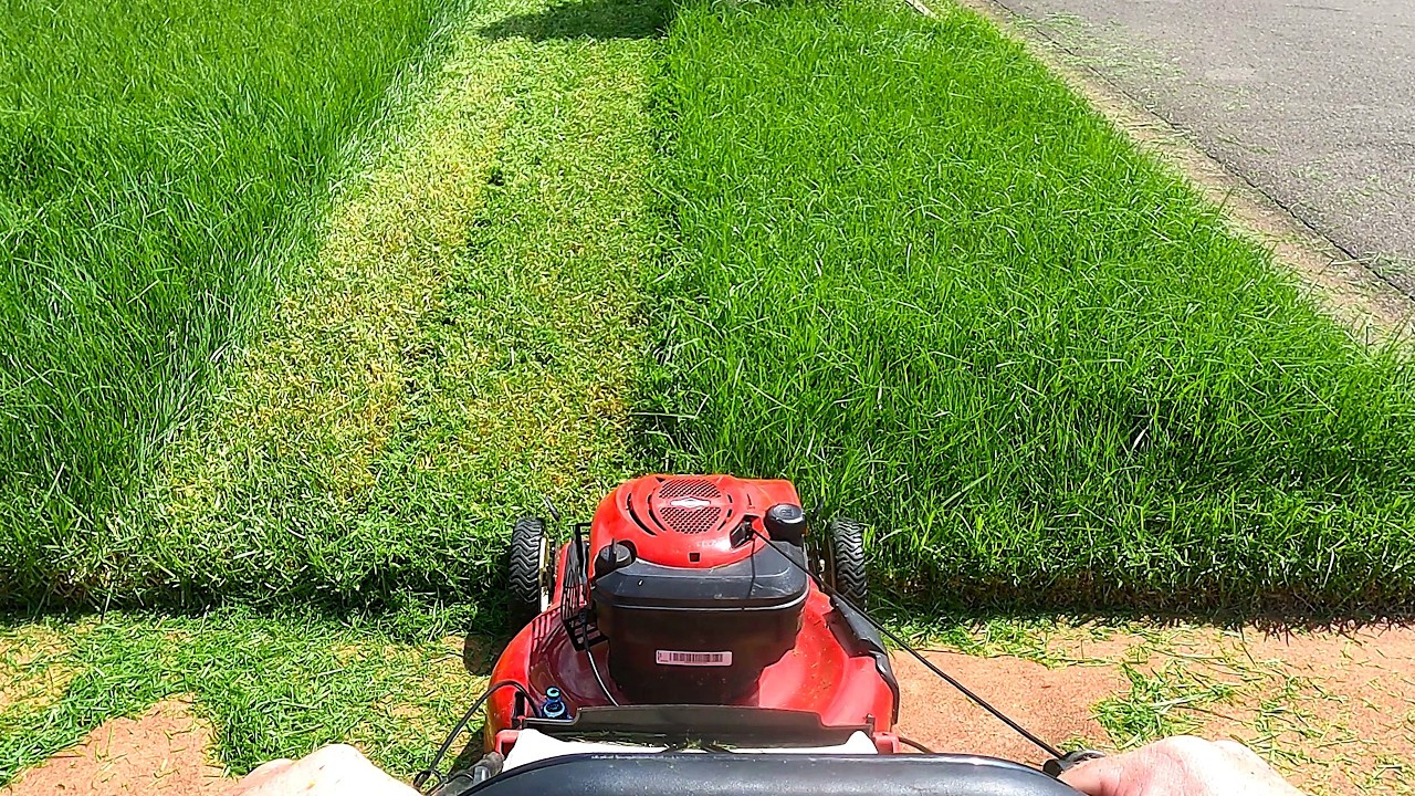 POV Lawn Mowing &ndash; Cutting Through Over 12