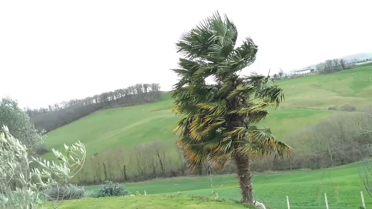 TEMPÊTE LORS DU PASSAGE DE LA DÉPRESSION BIANCA