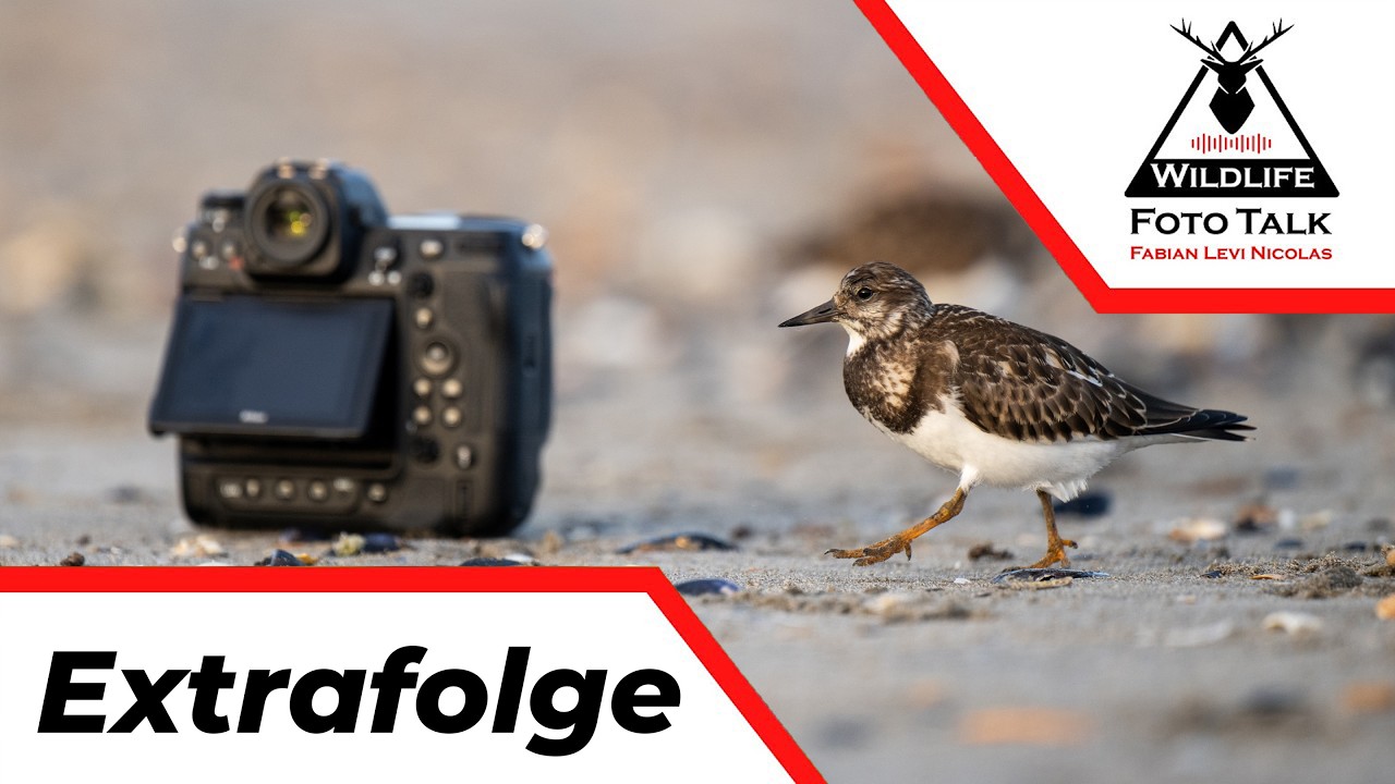 Vogelfotografie für Faule - Nikon Autocapture im Einsatz
