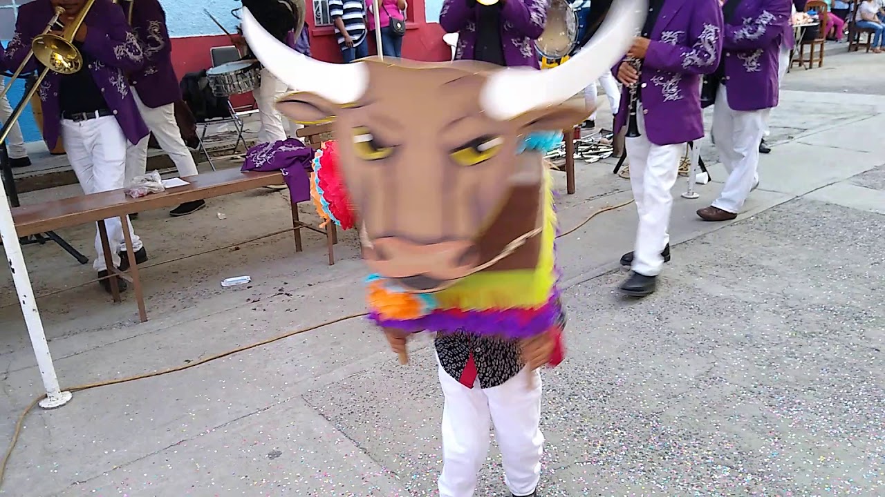 Toro pinto de Luis🥰