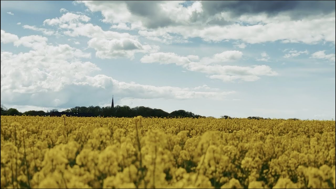 Ambisonic Recording Project (Part 15) - Pontus Gunve - Nöbbelövs Mosse, Lund - Sweden