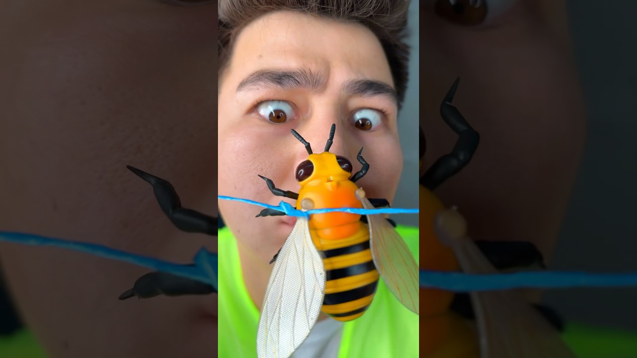 a hornet bit me on the nose 👃😂