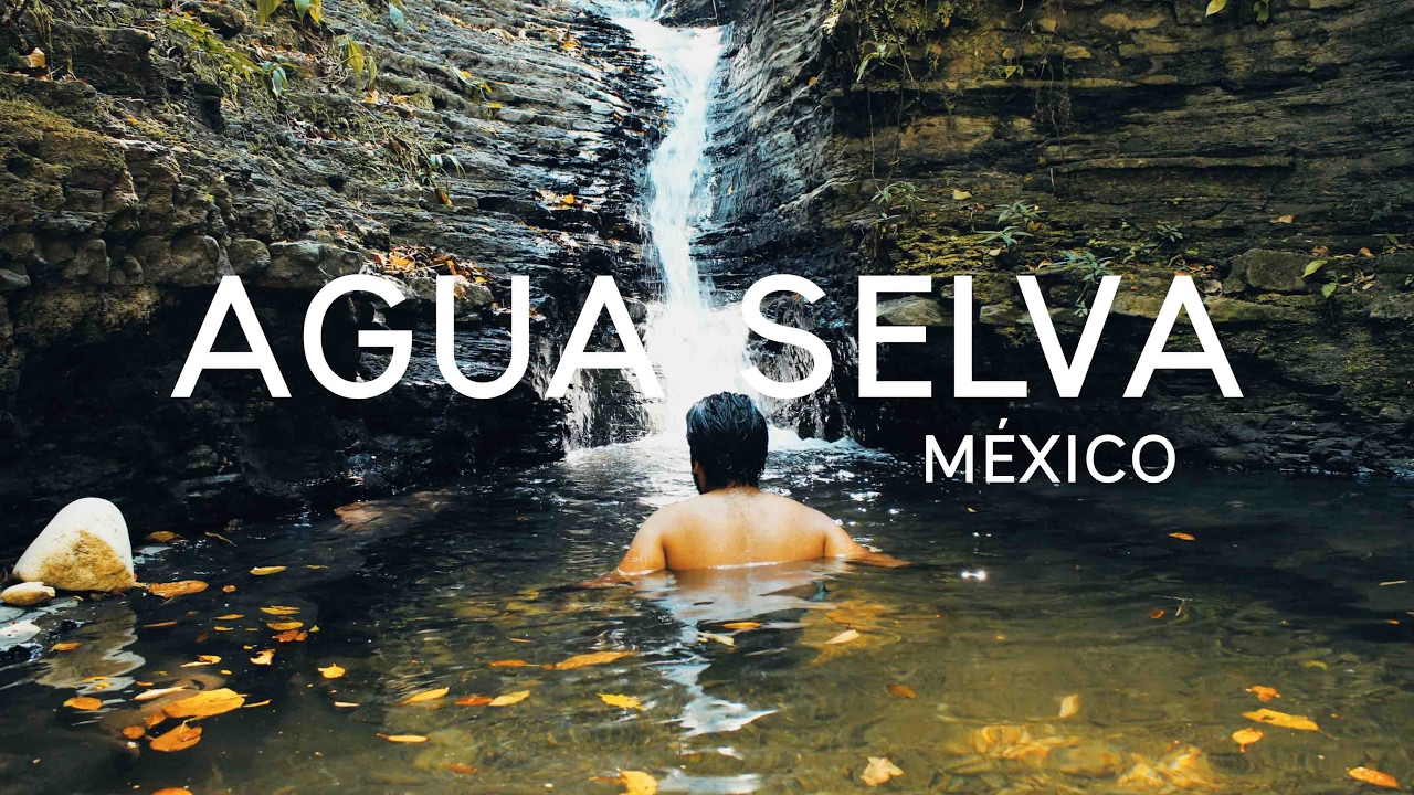 ECOPARQUE AGUA SELVA || Tabasco #1