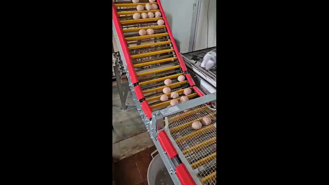 Raccolta uova con nastro trasportatore per alte pendenze Climber Conveyor LUBING