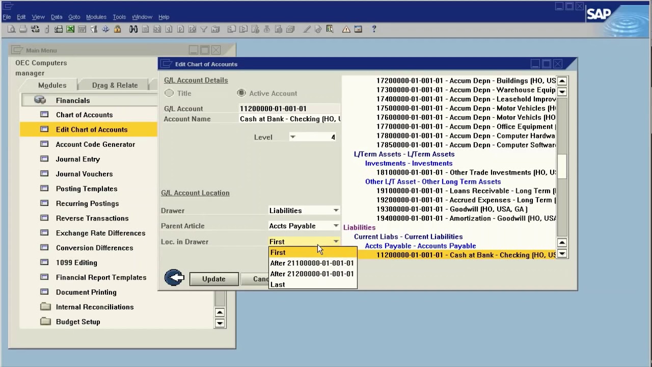 SAP B1 Chart of Accounts Adjusting
