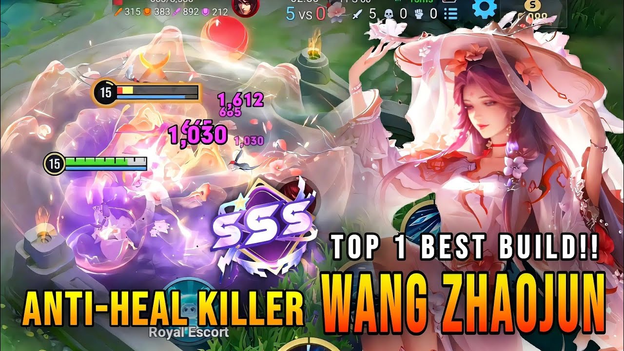 16.0 SSS!! Wang Zhaojun Anti-Heal Killer - Top 1 Best Build | Honor of Kings