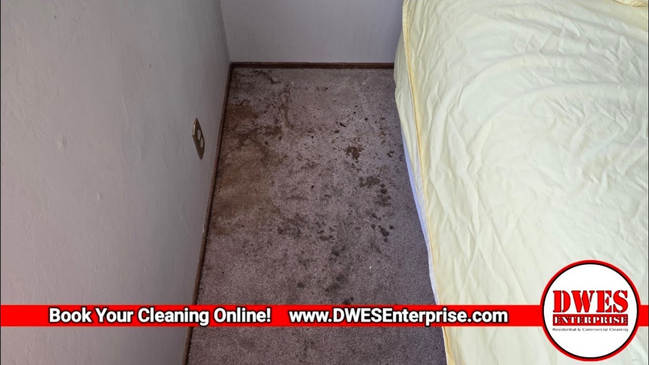 Spoke Too Soon... This Carpet Is Dirtier Than The Last One! #DWES4Life